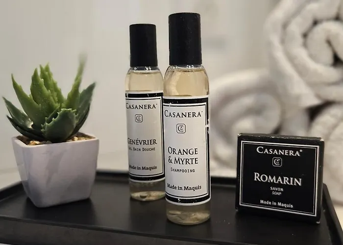 Standing Stella Di Mare Vue Panoramique *