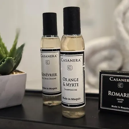 Standing Stella Di Mare Vue Panoramique *